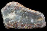 Beautiful Condor Agate From Argentina - Cut/Polished Face #79479-2